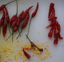 Red chillies harissa